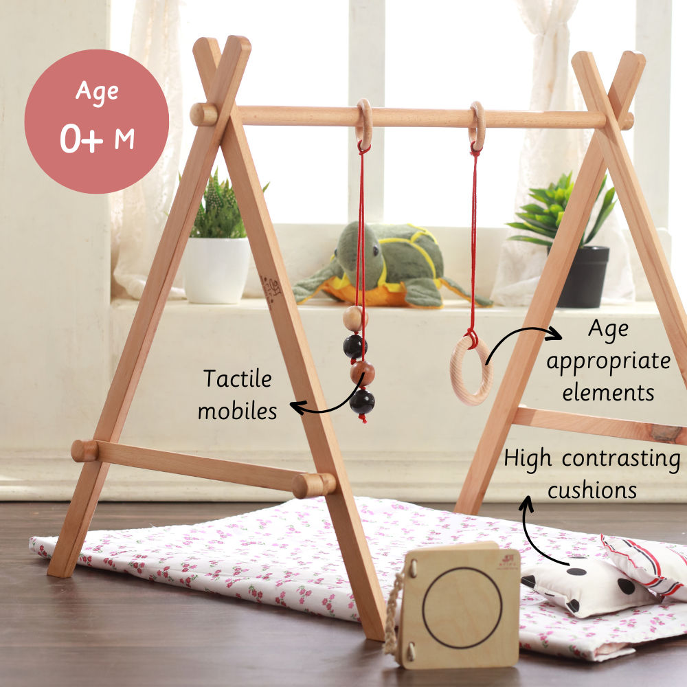 Baby Floor Gym & Mobile 016